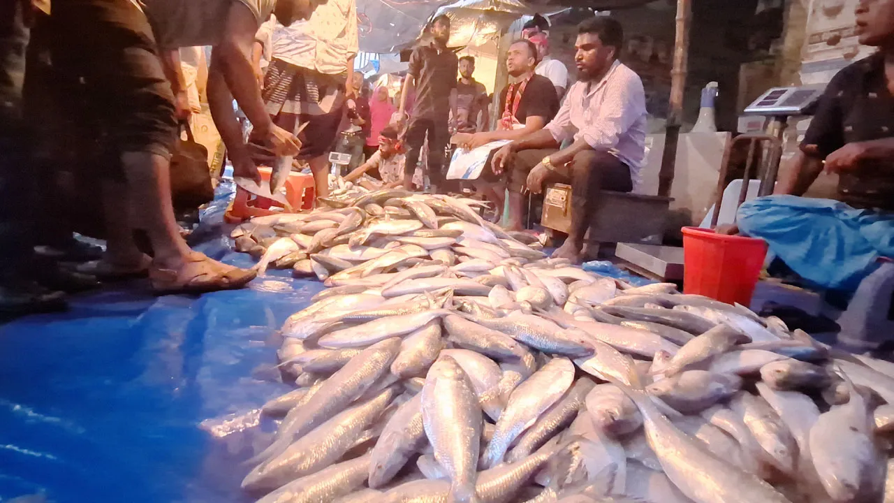 বরগুনায় দাম কমিয়ে মাইকিং করে ইলিশ বিক্রি