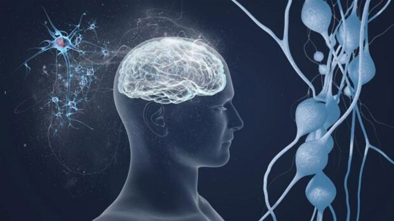 brain-health
