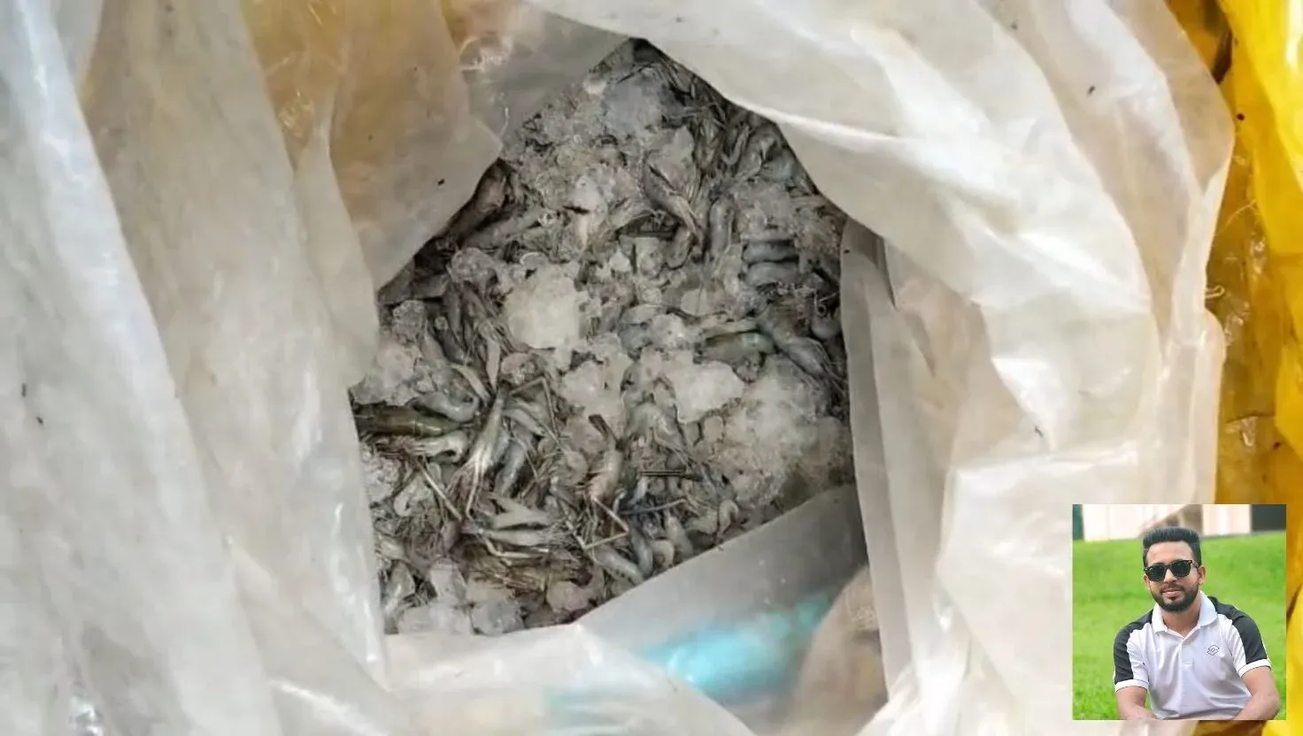 সুন্দরবনে বিষ দিয়ে মাছ শিকার