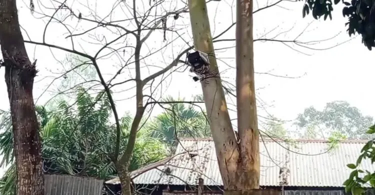 কথা রাখলো বিএসএফ, খুলে ফেলা হলো সিসি ক্যামেরা