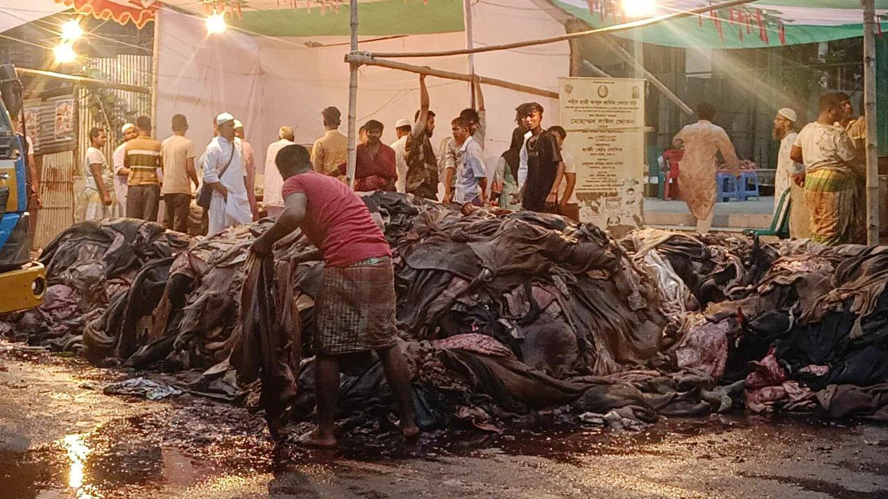 আজ আরও কমে বিক্রি হচ্ছে কোরবানির পশুর চামড়া
