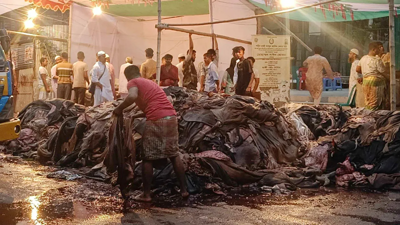 আজ আরও কমে বিক্রি হচ্ছে কোরবানির পশুর চামড়া