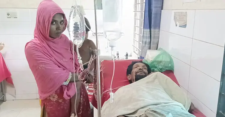 পোষা গোখরাকে খাবার দিতে গিয়ে সাপের কামড়, হাসপাতালে কাঠমিস্ত্রি