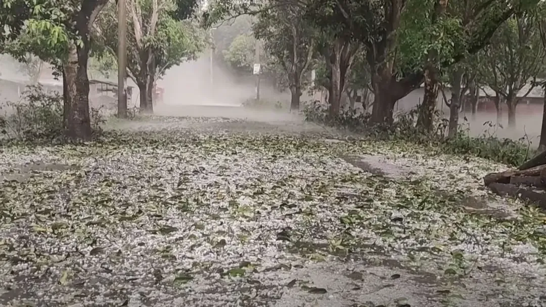 চাঁপাইনবাবগঞ্জে শিলাবৃষ্টি, আম ও ধানের ব্যাপক ক্ষতি