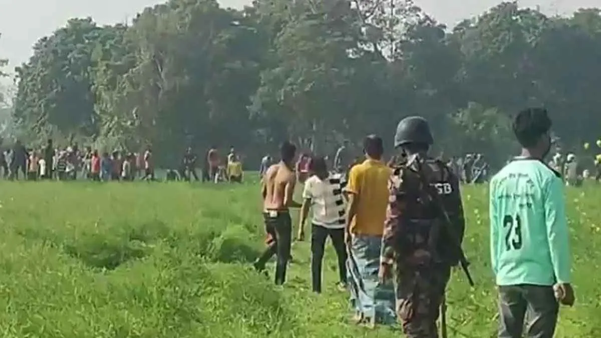 বাংলাদেশে ঢুকে গাছের ডাল কাটল বিএসএফ, সীমান্তে উত্তেজনা