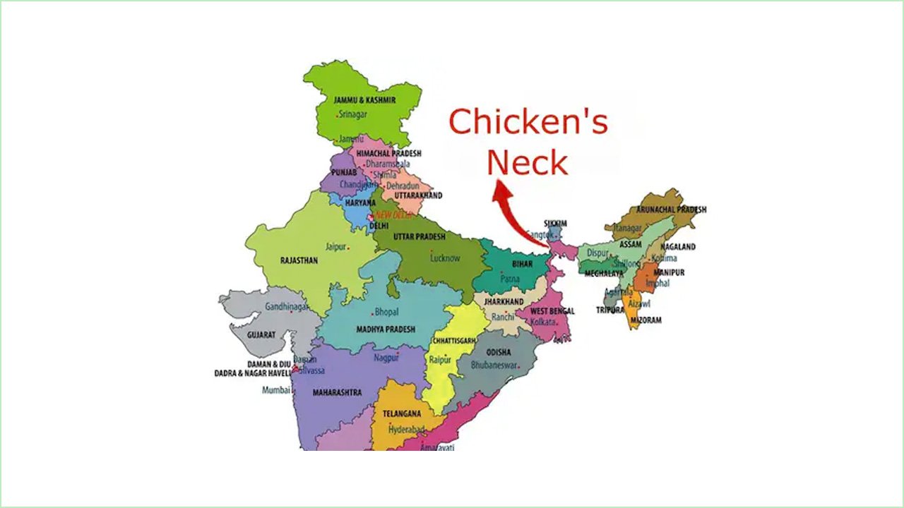 chickens-neck-20250405165917
