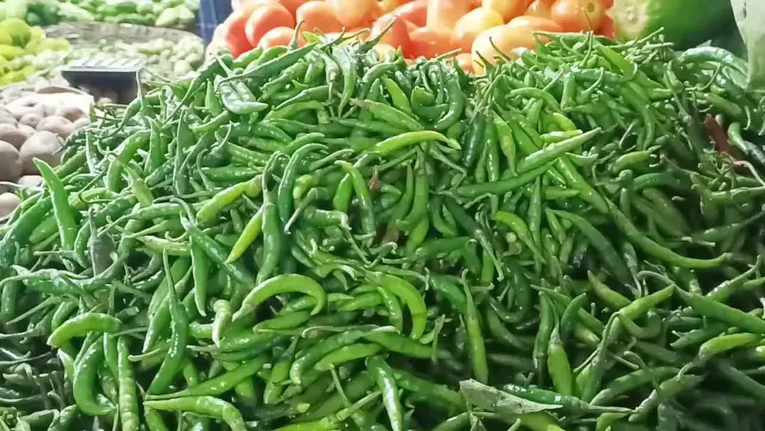 কাঁচা মরিচ আমদানির অনুমতি দিল সরকার
