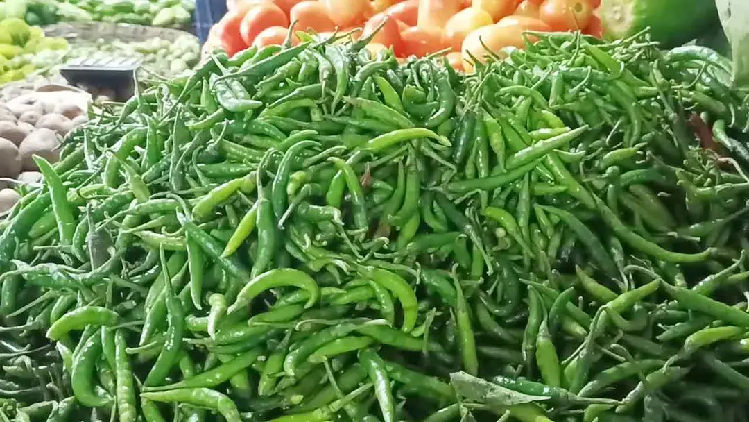 chilli-20260802190243