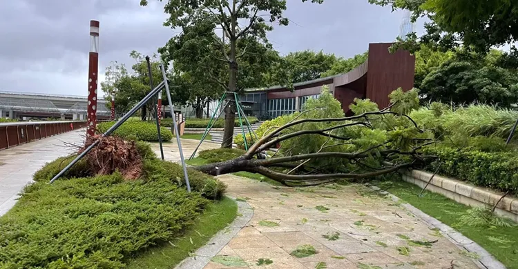 চীনে ঘূর্ণিঝড়ের আঘাত