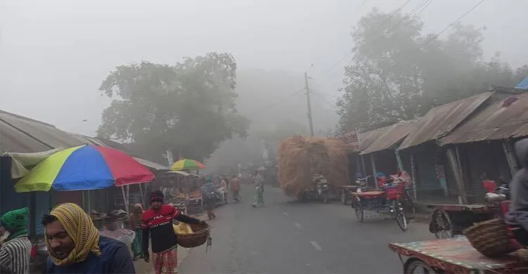 শৈত্যপ্রবাহে নাকাল চুয়াডাঙ্গা