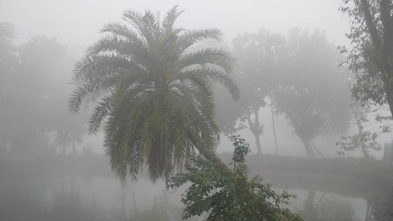 চুয়াডাঙ্গায় তাপমাত্রা নামল ৬.৬ ডিগ্রিতে, কমেছে ঢাকায়ও