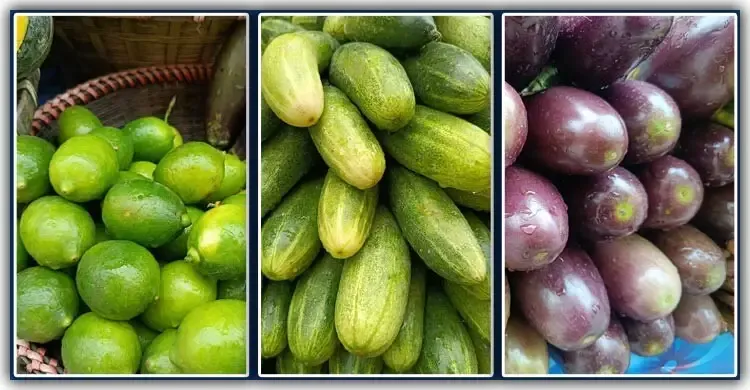 লেবু-শসার দাম কমলেও চড়া বেগুন