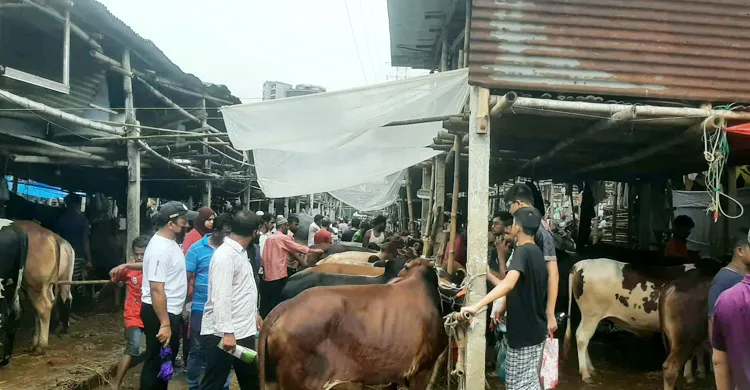 গত বছরের তুলনায় কোরবানির  গরুর দাম কম হওয়ায়, খুশি ক্রেতারা