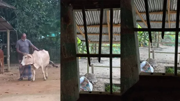 এএসপির বাড়ি থেকে চুরি গেল ৩ গরু