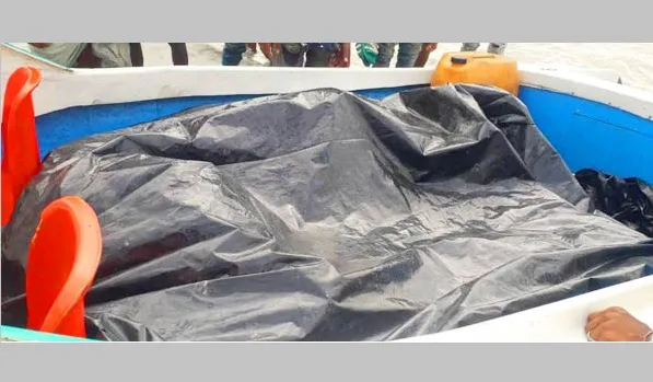 কুমিল্লায় গাছ উপড়ে একই পরিবারের তিনজন নিহত