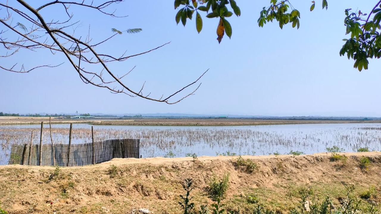ফের টেকনাফ সীমান্তে গোলাগুলির বিকট শব্দ
