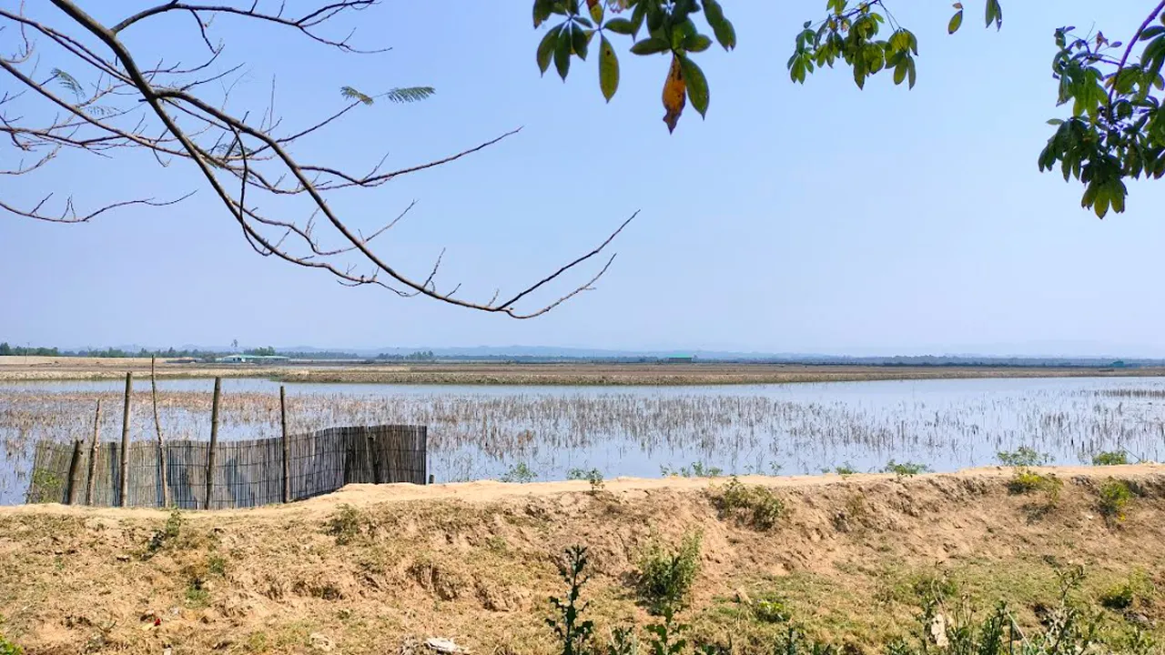 ফের টেকনাফ সীমান্তে গোলাগুলির বিকট শব্দ