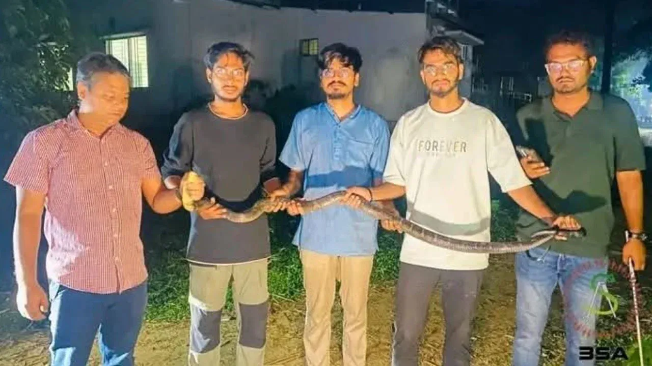 চবিতে আবারো ভয়ংকর ‘কিং কোবরা’ উদ্ধার