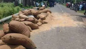ধানবোঝাই ট্রলি উল্টে নিহত ১