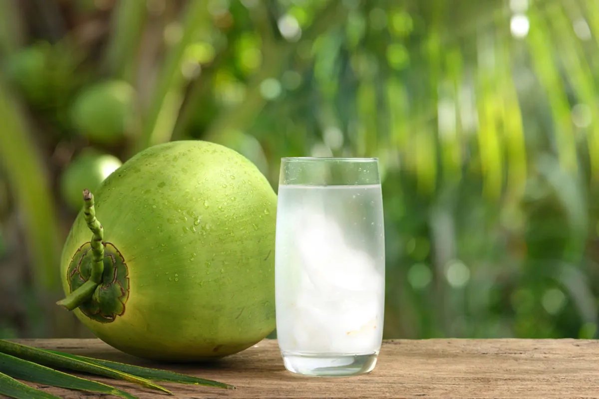ডাবের পানি খেলে কি প্লাটিলেট বাড়ে?