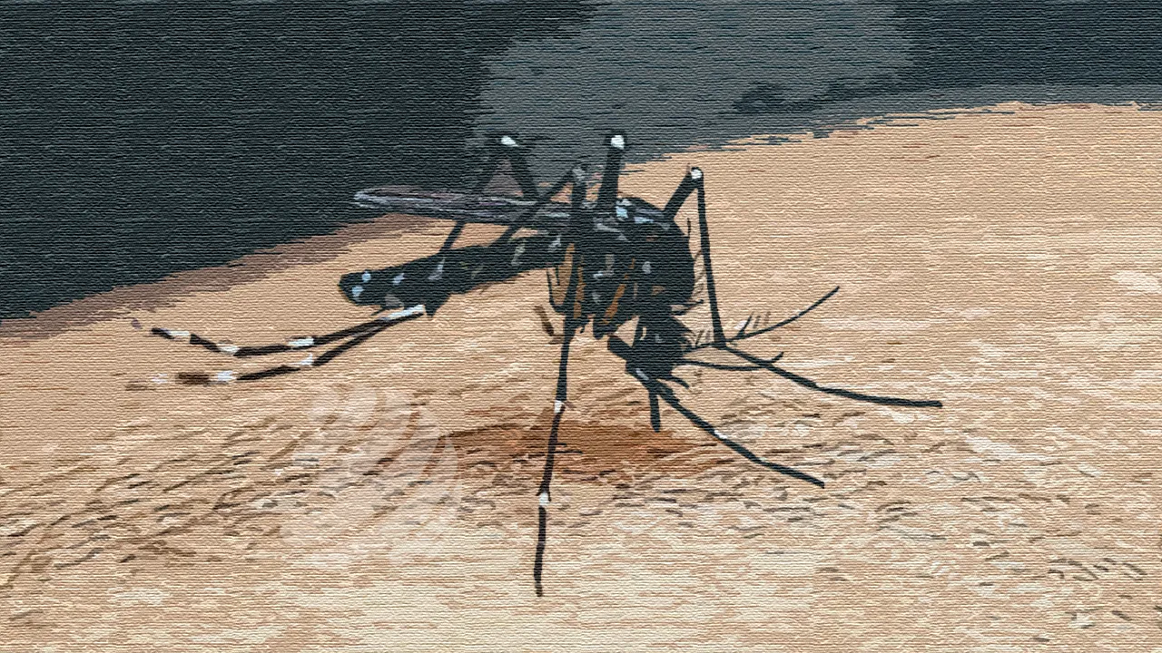 মশার কামড়ে মৃত্যু মিছিল কিসের লক্ষণ?