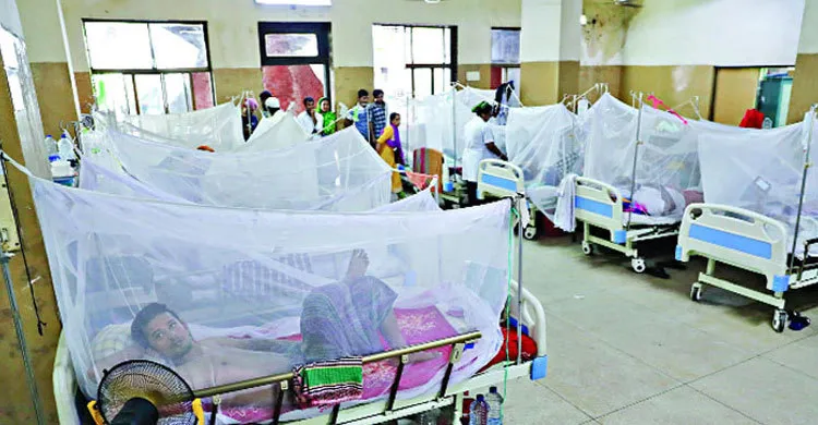 জুনের তুলনায় জুলাইয়ে ডেঙ্গু রোগী ৭ গুণ বেশি