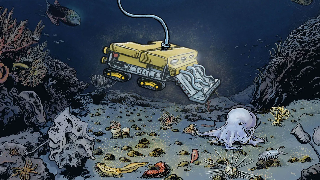 মানুষের হাতে এবার ধ্বংস হচ্ছে সমুদ্রতলের বিস্ময়