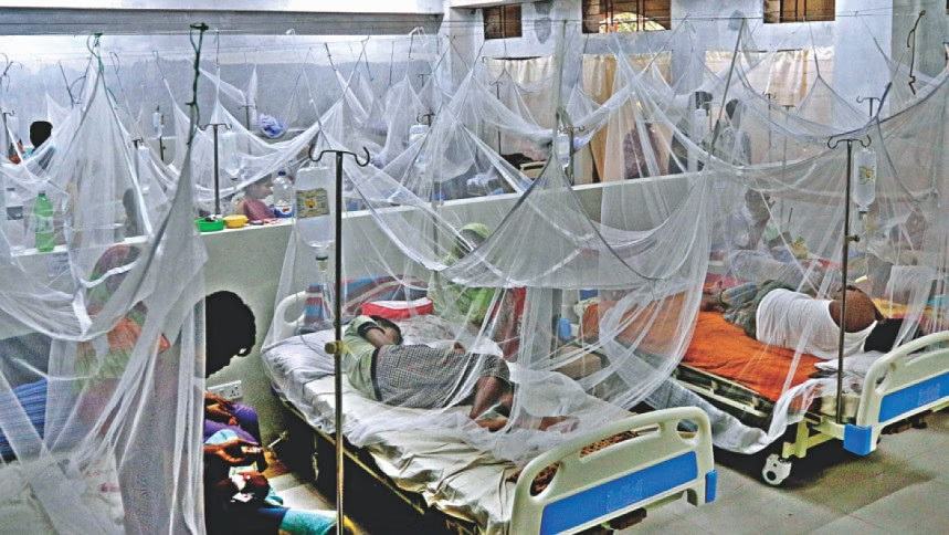 Dengue: 9 more die, 1,565 hospitalised in a day