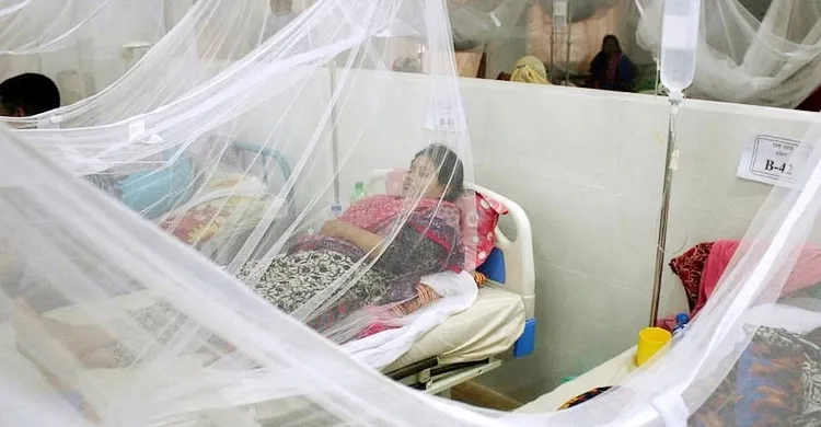 ডেঙ্গুতে আরও ৫ মৃত্যু, হাসপাতালে ভর্তি ৬৬৯