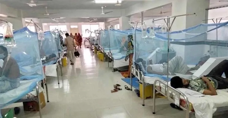 ডেঙ্গুতে মৃত্যু ২০০ ছুঁইছুঁই, ৪০ হাজার ছাড়ালো ভর্তি রোগী