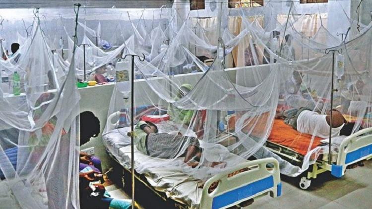 Dengue menace: 4 die in 24hrs, death toll reaches 234