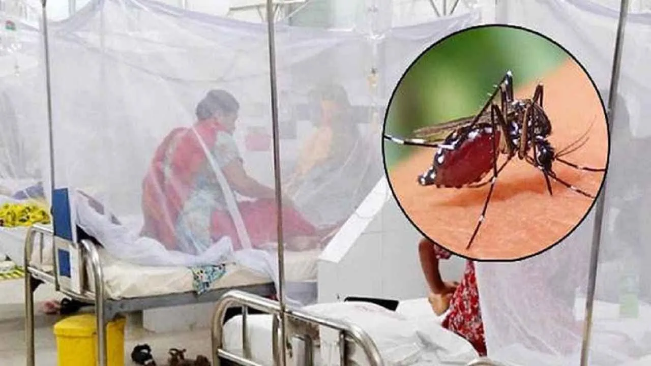 ২৪ ঘণ্টায় ডেঙ্গুতে ৪ জনের মৃত্যু