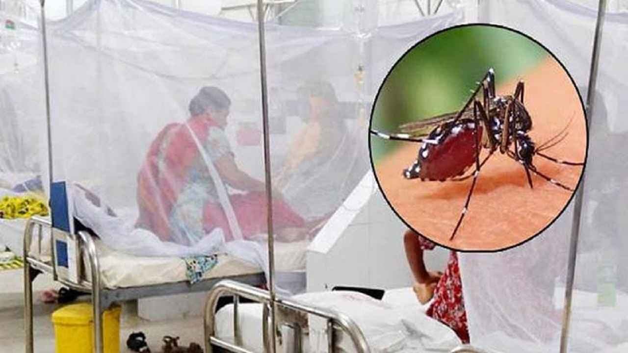 ২৪ ঘণ্টায় ডেঙ্গুতে ৪ জনের মৃত্যু