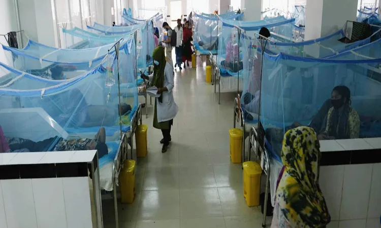 40 new dengue patients hospitalised