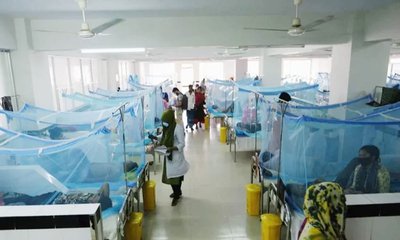 dengue--20231208190352