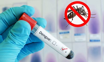 dengue--20241030193932