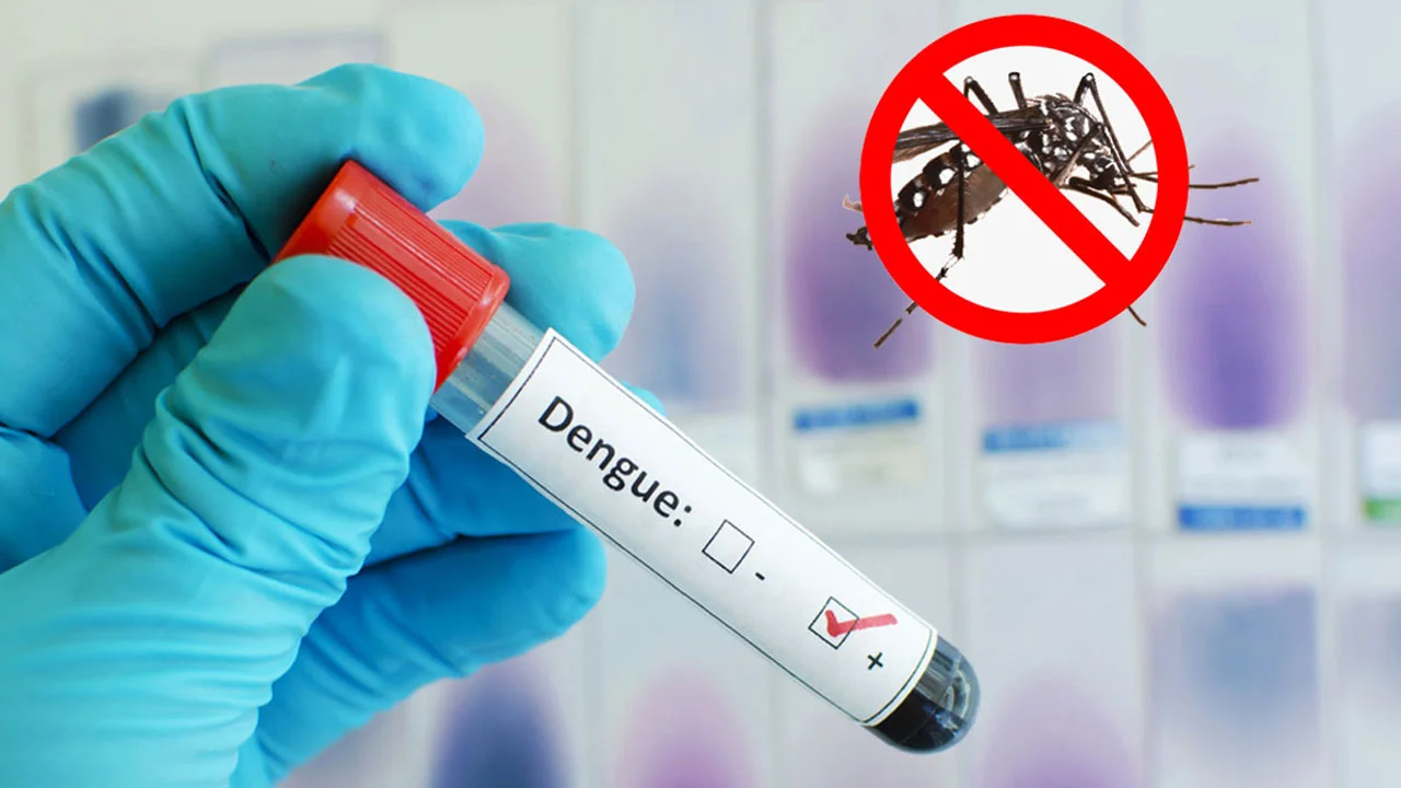 dengue--20241030193932