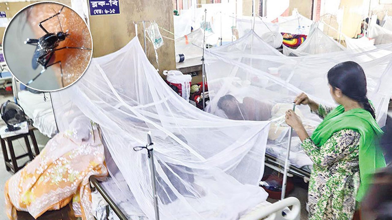 dengue-2-20-202412052003261-202412061826171-202506171856371-20250618154754-20250618155820