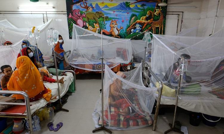 5 dengue patients die, 855 hospitalized in 24 hrs