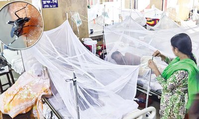 dengue-20240730220040-20240810190858-202409180916001-20240925190132