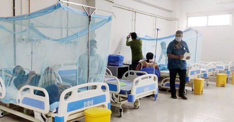 ডেঙ্গুতে ঝরলো আরও ৩ প্রাণ, একদিনে আক্রান্ত ৮০১ জন