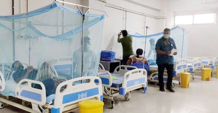 ডেঙ্গুতে ঝরলো আরও ৩ প্রাণ, একদিনে আক্রান্ত ৮০১ জন