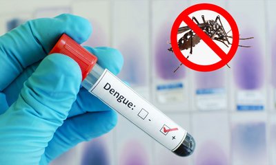 dengue-20241015075209