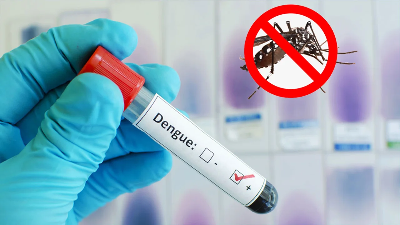 dengue-20241015075209