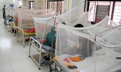 dengue-20241031144648-20241109200046