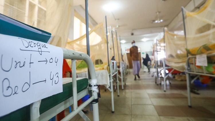 Dengue fever: 3 more dies, 482 hospitalised in 24hrs
