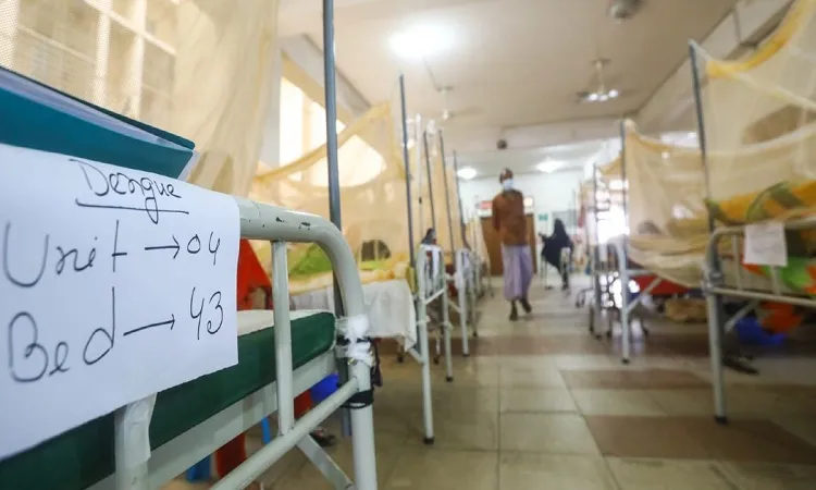 Dengue fever: 3 more dies, 482 hospitalised in 24hrs