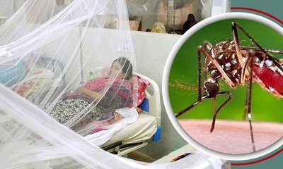 dengue-cty-20241001155138