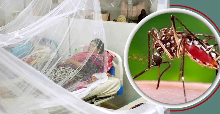 ডেঙ্গুরোগী বেশি দক্ষিণ সিটিতে, ঢাকার বাইরে শীর্ষে চট্টগ্রাম