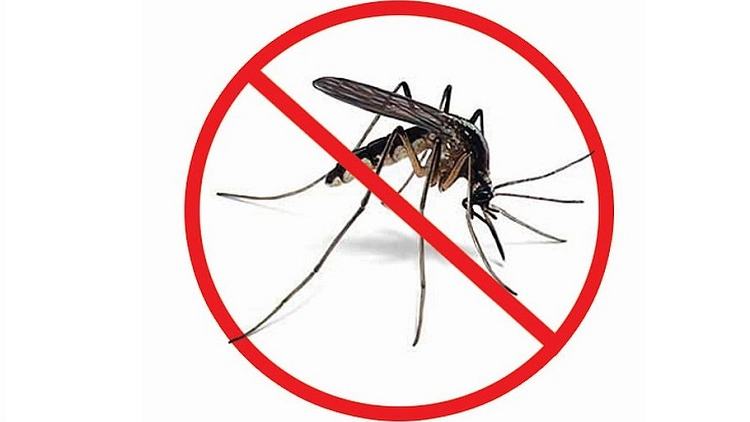 7 dengue patients hospitalised in Dhaka in 24hrs